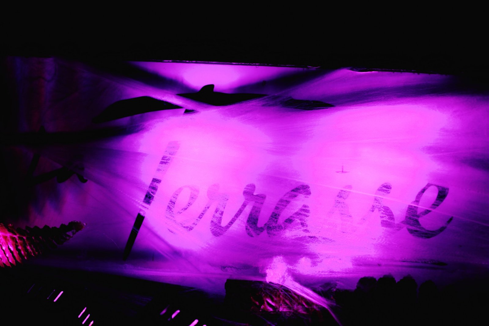 Featured image for “Halloween Party 2025”